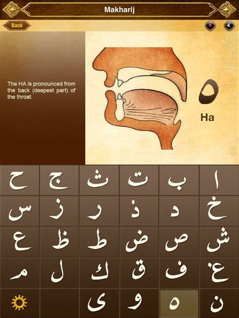 Learn arabic alphabet, Learning arabic, Learn arabic language