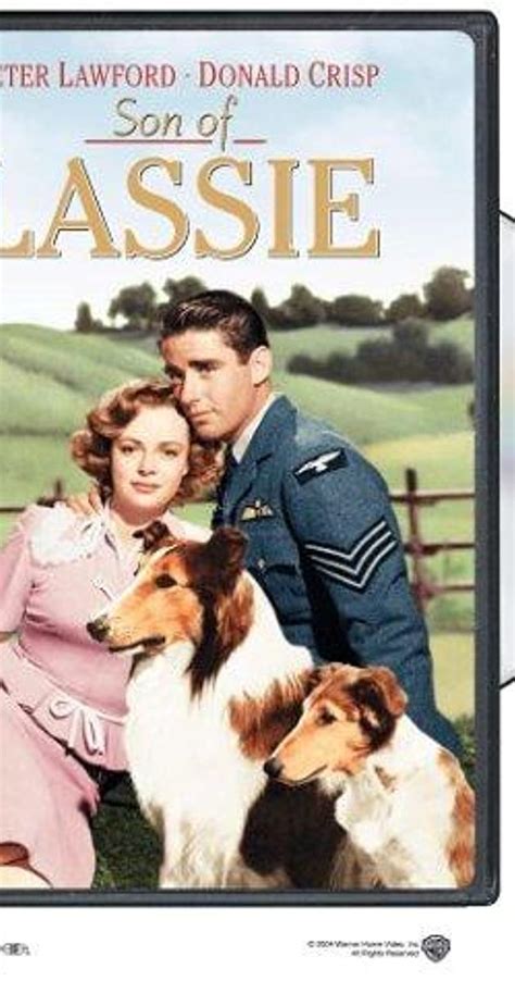 Son Of Lassie 1945 Imdb