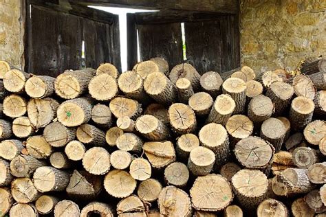 10 Cottonwood Firewood Stock Photos Pictures And Royalty Free Images