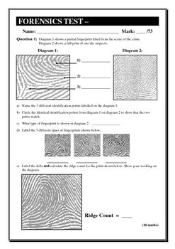 Vocabulary worksheets > science > forensic science. Forensic Science: Forensic Science Blood Spatter Worksheets