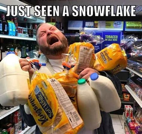 Snow Meme Snow Humor Troll Winter Humor Winter Qoutes Winter