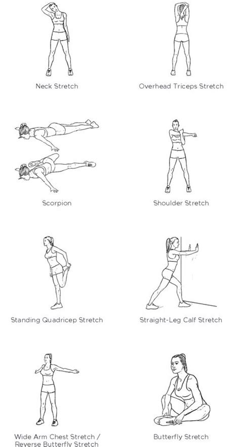 Pre And Post Workout Stretching — Lifestart