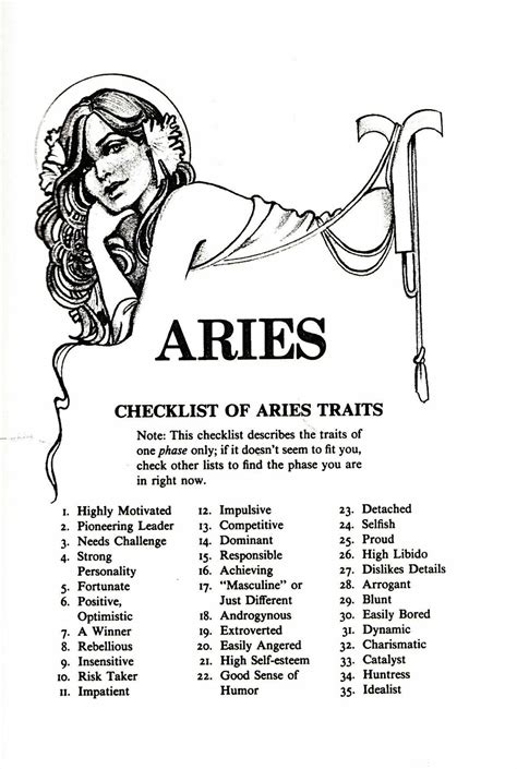 An Advertisement For The Aries