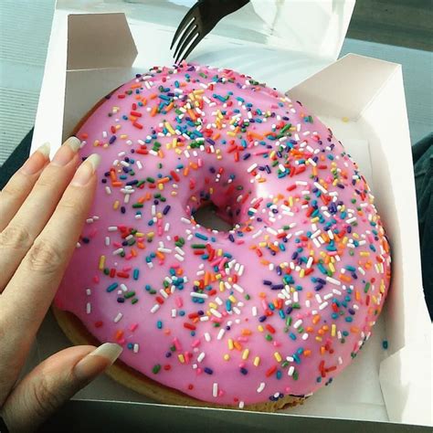 Lard Lads Big Pink Donut From Springfield At Universal Studios Hands