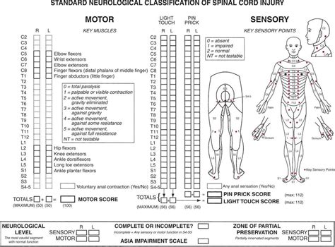 Vertebrae And Spinal Cord Trauma 7th Ed