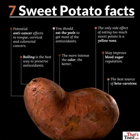 7 sweet potato facts infographic resep sehat resep