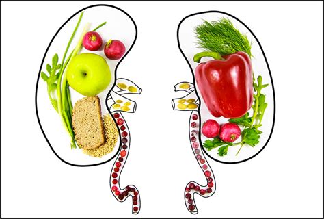 Here is everything you need to know about the apple cider vinegar diet. 10 Foods That Are Good for the Kidneys - eMediHealth