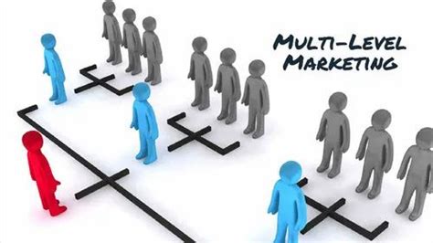 Mlm Software Mlm Software From Bhubaneswar