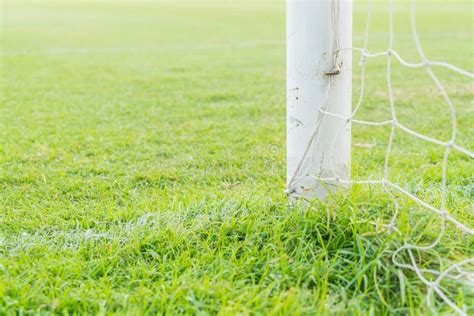 Soccer Goal Football Green Grass Field Stock Image Image Of Ground