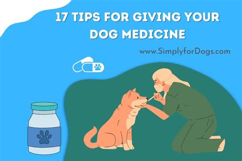 17 Tips For Giving Your Dog Medicine By Dose And Time Simply For Dogs