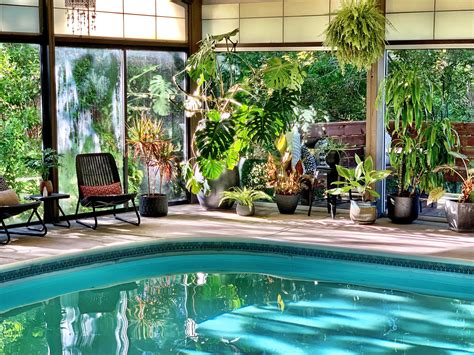 My aunt/uncle's indoor pool oasis : IndoorGarden
