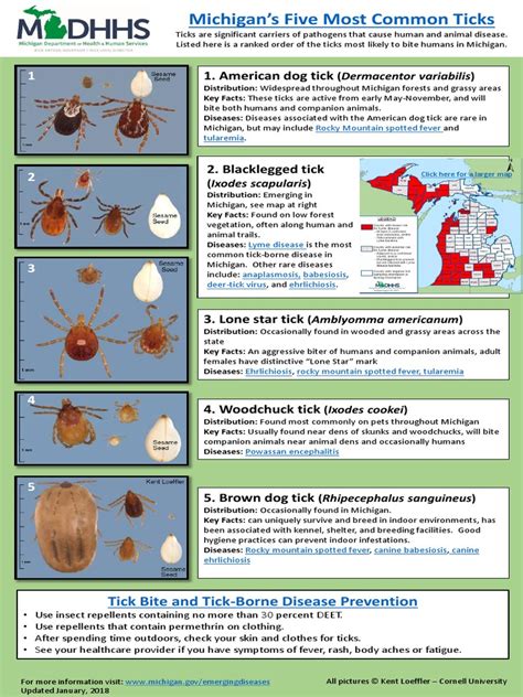 Michigans 5 Most Common Ticks Pdf Animals And Humans Diseases