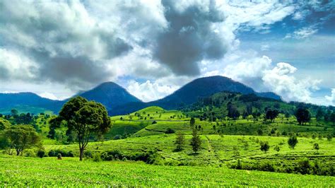 Booking.com has been visited by 1m+ users in the past month Solo Riding, On Road Bandung-Pangalengan-Malabar-Kertasari ...