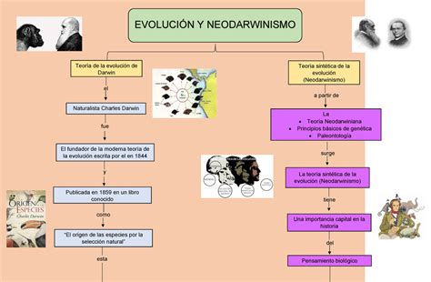 Teoría de la Evolución Neodarwinismo Mapa Conceptual EVOLUCIÓN Y