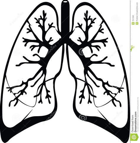 LUNGS CLIPART BLACK AND WHITE 135px Image 18