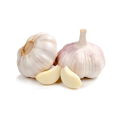 Garlic | Veggycation