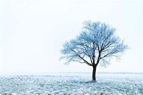 Spiritual Meaning Of Snow The Meaningful Life Center