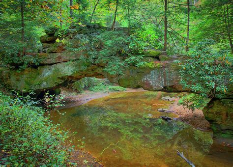 Rock Bridge At Creation Falls Red River Gorge Ky Photograph By Ina