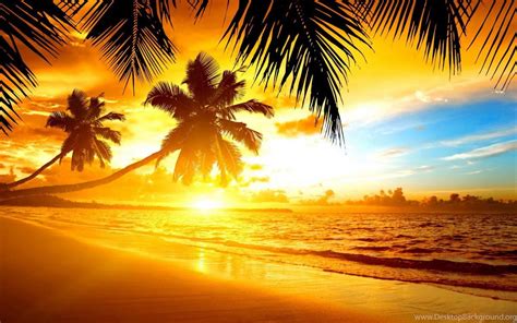 Tropical Sunset Wallpaper Desktop Background