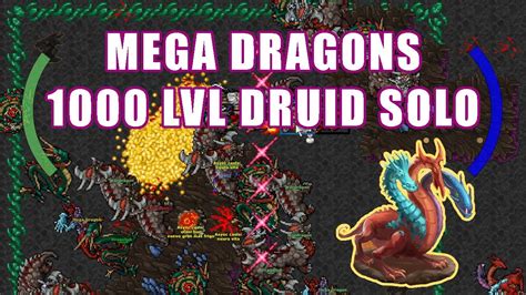 Nimmersatt S Breeding Ground Ed Solo Kk Raw Exp H Mega Dragons