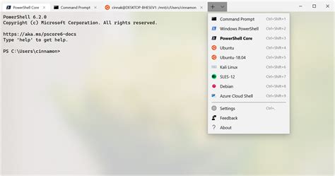 How To Get The New Windows Terminal 2019 Doodlenaa