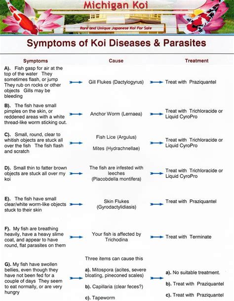 Symptoms Of Koi Diseases Koi Health And Information Koi Fish Care