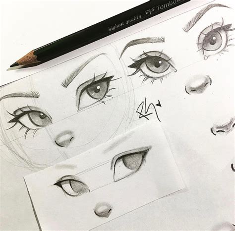 Eyes And Nose Drawing At Getdrawings Free Download