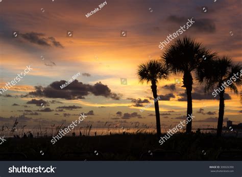 Silhouette Of Palm Trees And Sea Grass At Sunset On The
