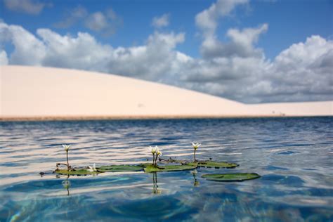 Lençóis Maranhenses How To Visit Brazil Sand Dunes And Lagoons