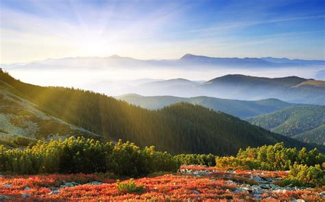 Trees Landscape Nature Mountain Sky Wallpapers Hd