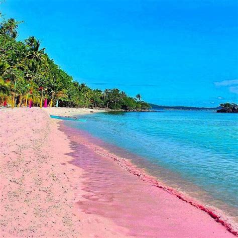 6 Pantai Pink Paling Indah Di Dunia Salah Satunya Di Indonesia Orami