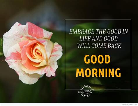 Check spelling or type a new query. Pin by jay bostic on Purple roses | Purple roses, Good morning, Best