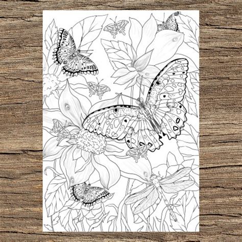 Butterflies Printable Adult Coloring Page From Favoreads Etsy