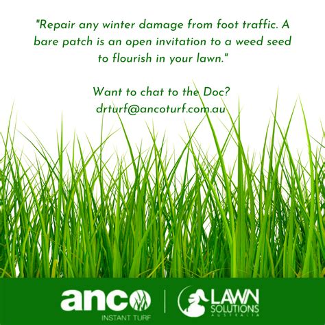Dr Turfs Lawn Tip Of The Week Anco Turf