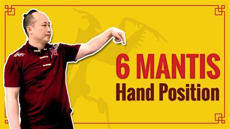 6 Basic Mantis Kung Fu Techniques Hand Positions Youtube