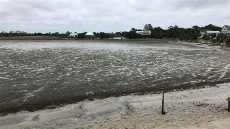 Hurricane Irma Shorelines Are Disappearing During Storm Heres Why