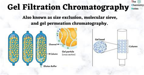 Gel Filtration Chromatography Principle Procedure Applications