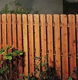 Images of Engineered Wood Fence