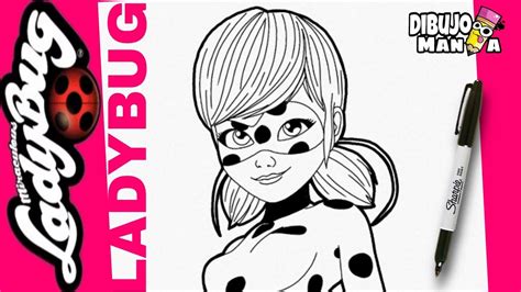 Como Dibujar A Ladybug Paso A Paso How To Draw Ladybug Step By Step