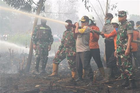 14 Orang Pembakar Hutan Dan Lahan Ditahan Jajaran Polda Kalbar
