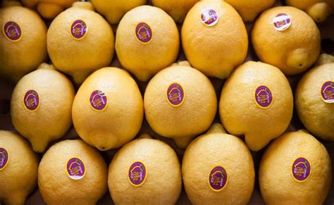 Ortofrutta Il Limone è Uno Dei Frutti Più Acquistati In Italia E Lidentità Territoriale è Vincente