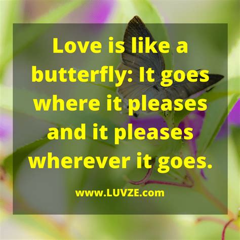 130 Butterfly Quotes And Sayings