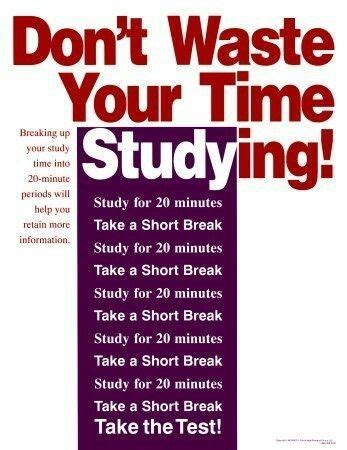 study strategy study tips college   memorize  study tips