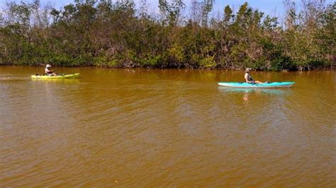 Rivers lead into oceans 3. Indian River Lagoon faces brown algae — again