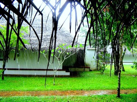 Beautiful Rainy Day Beauty Of Kerala Pinterest