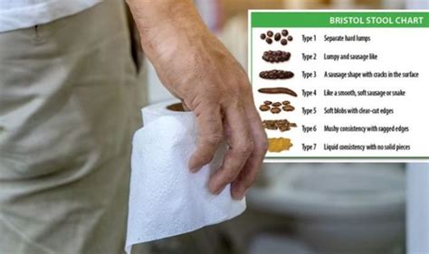 Are Your Stools Healthy Bristol Stool Chart Reveals What They Should