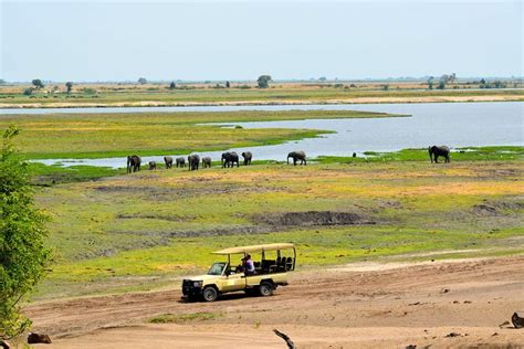 Chobe National Park Game Drive Botswana 2024 Kasane