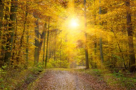 La retraite spirituelle, c'est aussi profiter de ce temps libre pour se reposer, se ressourcer dans un vaste endroit naturel propice à la détente ou à l'activité physique pour ceux qui le désirent. Ma première retraite spirituelle