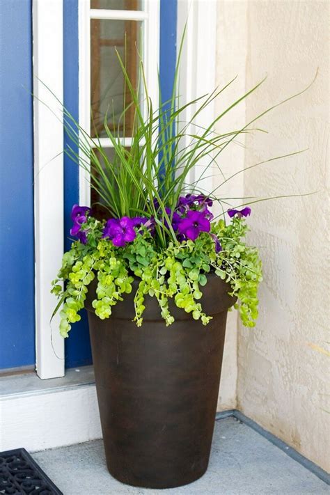 Maybe you would like to learn more about one of these? 35+ Wonderful Front Door Flower Pots To Increase Your Home ...