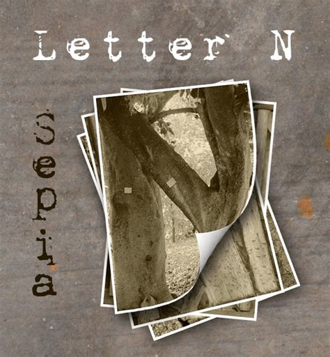 Letter N Alphabet Photography Letters Sepia Alphabet Photos Etsy